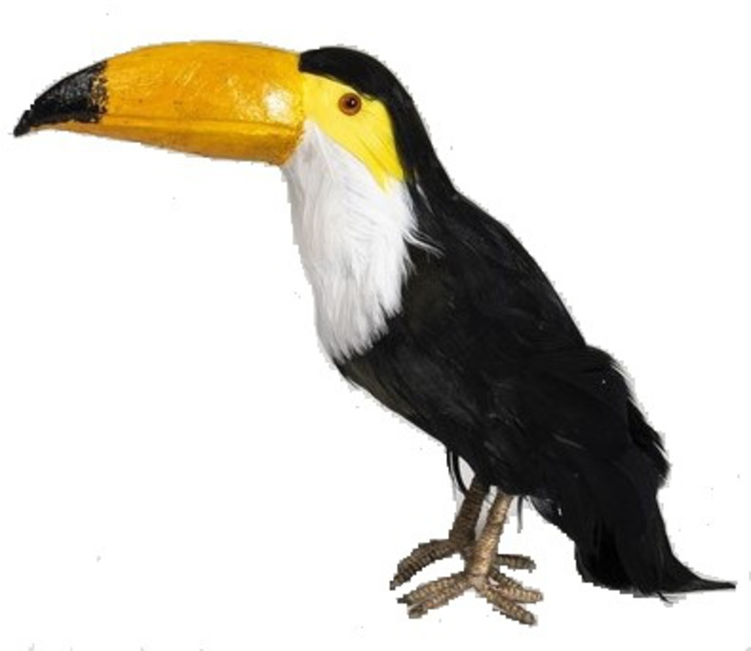 Perching Feathered Toucan 18cm image 0